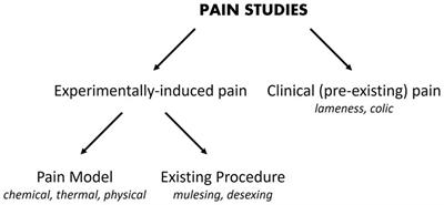 Uncontrolled pain: a call for better study design